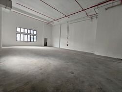 Ct Foodnex (D25), Factory #561533651